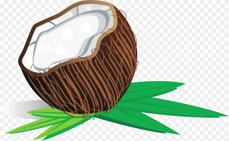 种植椰子
