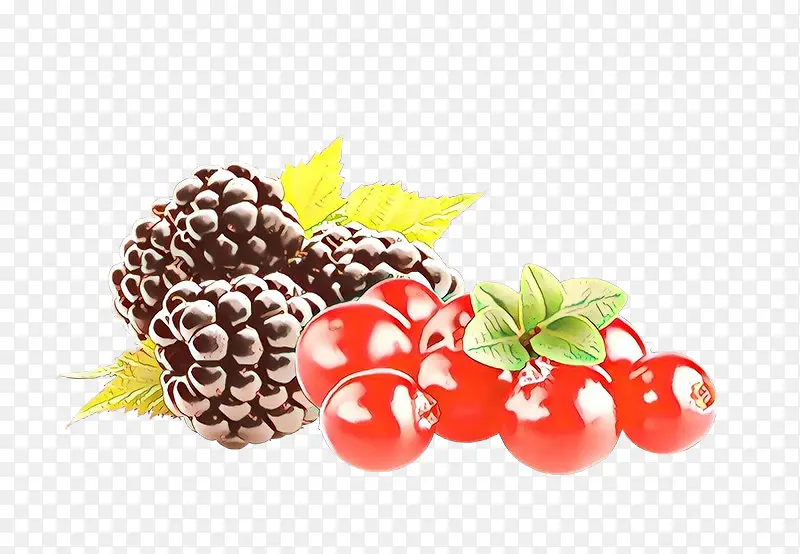 浆果 天然食品 黑莓