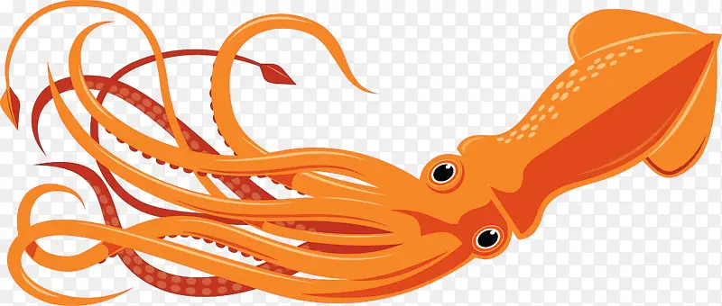 巨型太平洋章鱼 橙色 章鱼