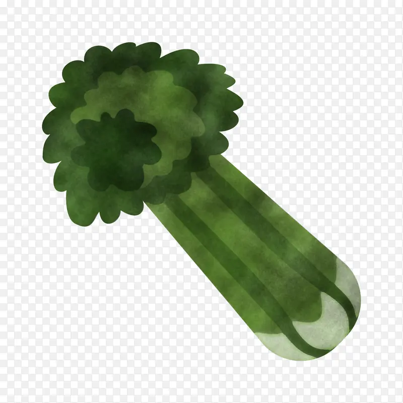 绿色 叶子 植物