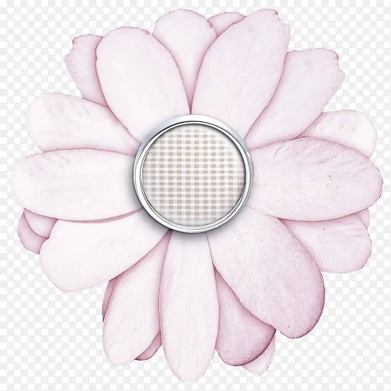 花瓣 白色 粉色
