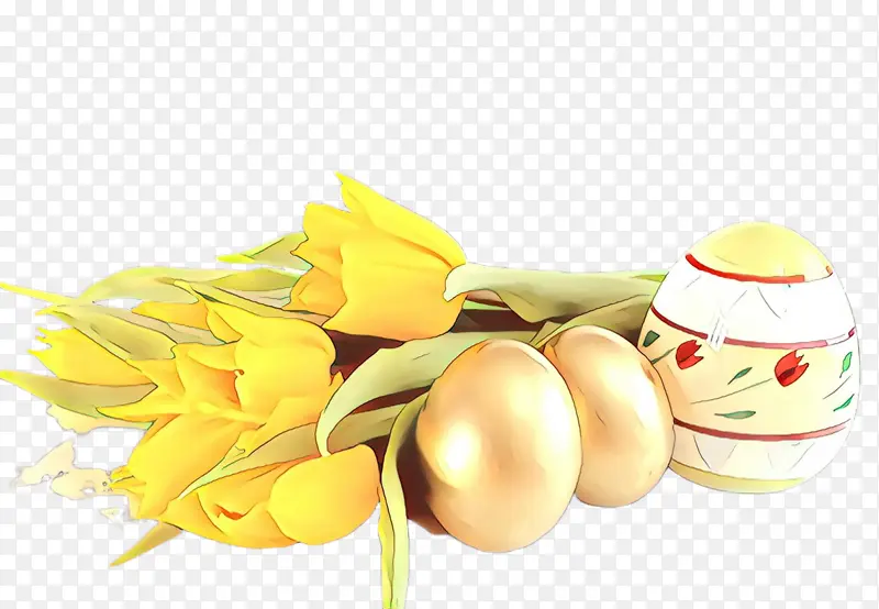 黄色 植物 郁金香