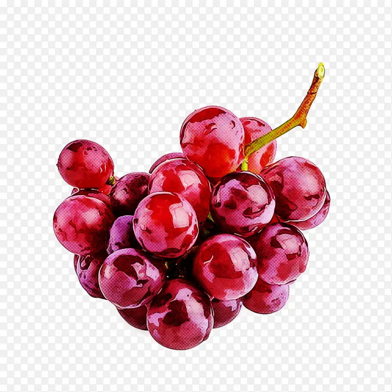葡萄 水果 浆果