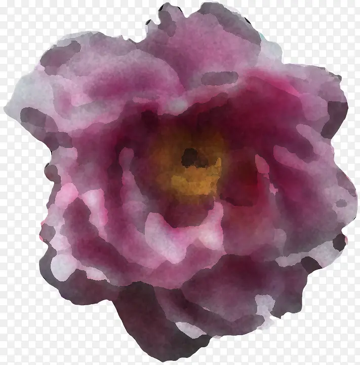 粉色 花瓣 紫色