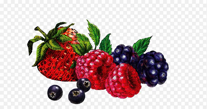 天然食品 浆果 水果