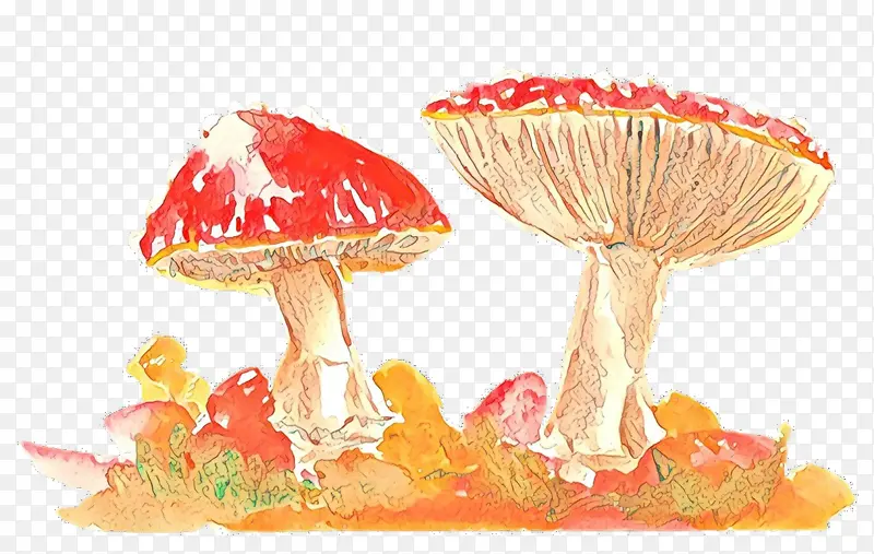 蘑菇 木耳 木耳菌