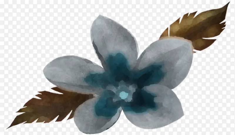 蓝色 花瓣 绿松石色