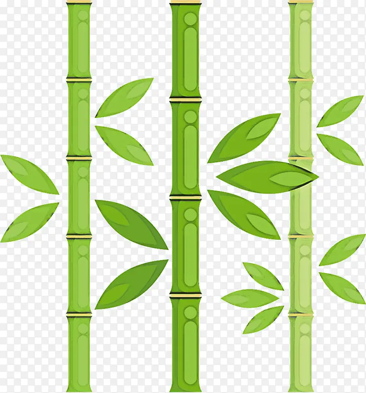 绿色 竹子 植物茎