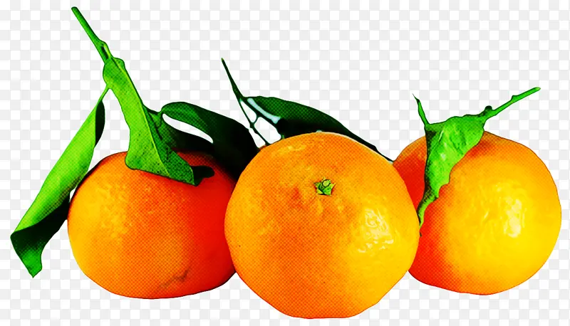 天然食品 水果 柑橘
