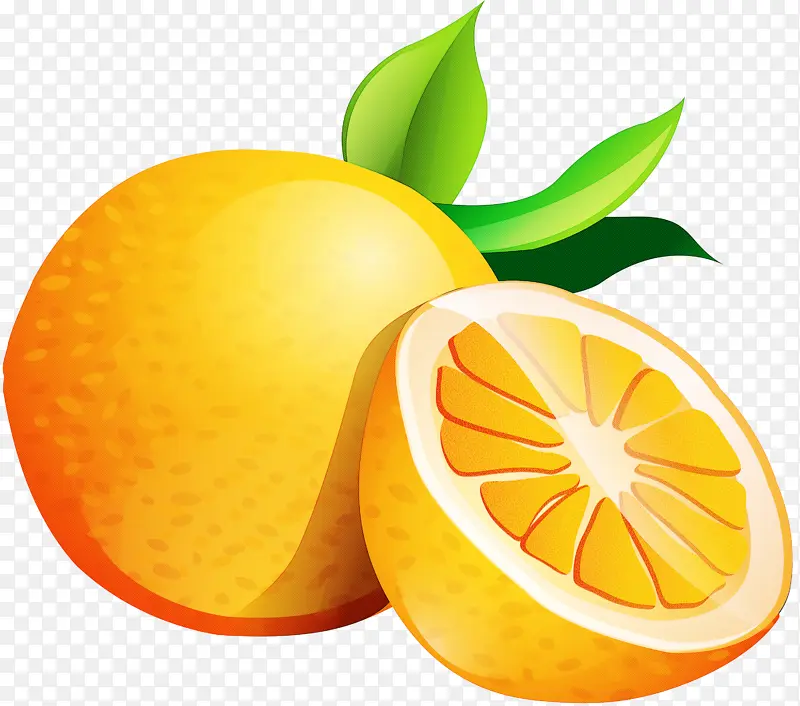 柑橘 水果 柠檬