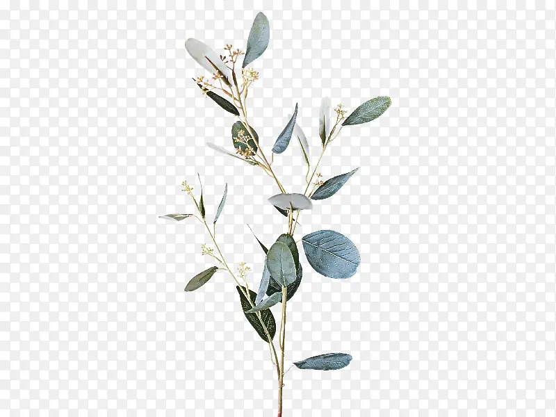 花 植物 枝PNG图片素材下载_图片编号7001244-PNG素材网