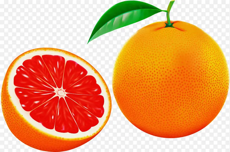 柑橘 水果 葡萄柚