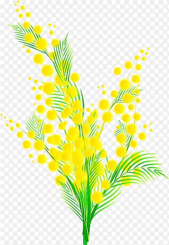 黄色 叶 植物