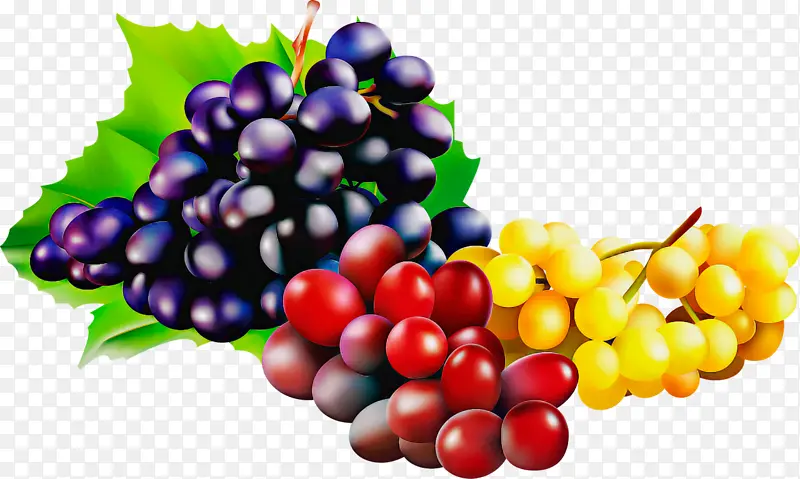 天然食品 葡萄 水果