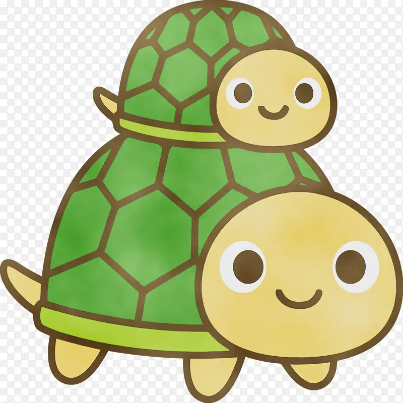 海龟 可爱的海龟 卡通海龟