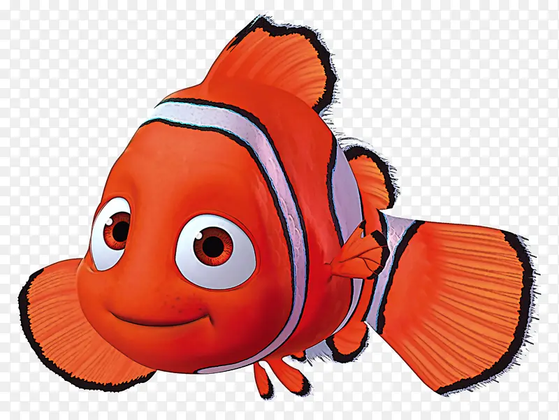 鱼 海葵鱼 小丑鱼