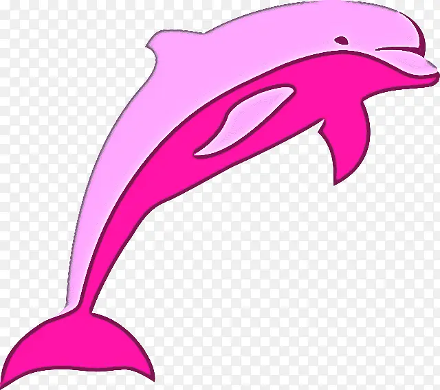 海豚 宽吻海豚 粉色