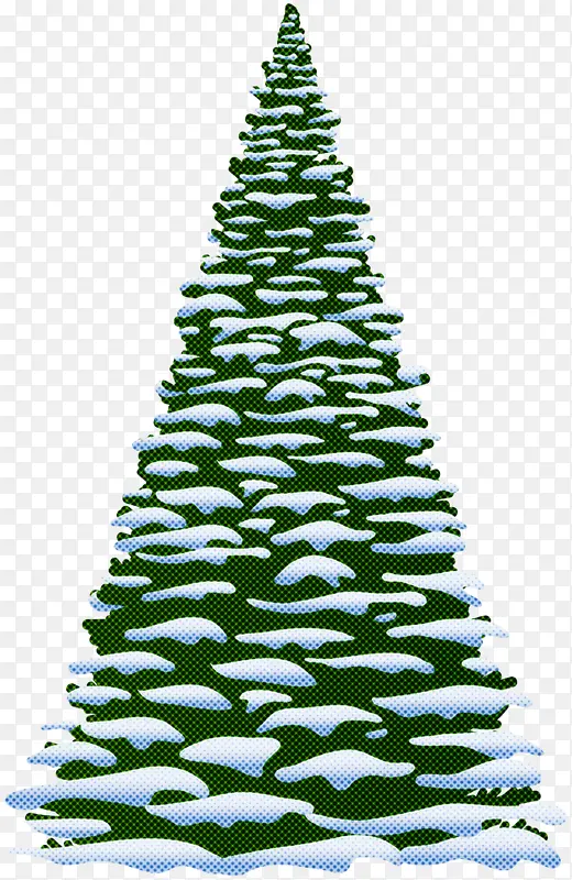 科罗拉多云杉 黄冷杉 圣诞树