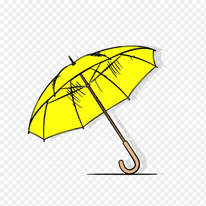 伞 黄色 叶子