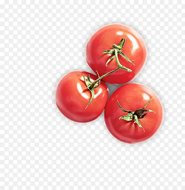 天然食品 番茄 灌木番茄