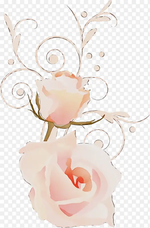 两朵花 两朵玫瑰 情人节