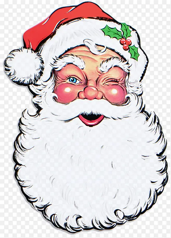 圣诞老人 面部毛发 胡须