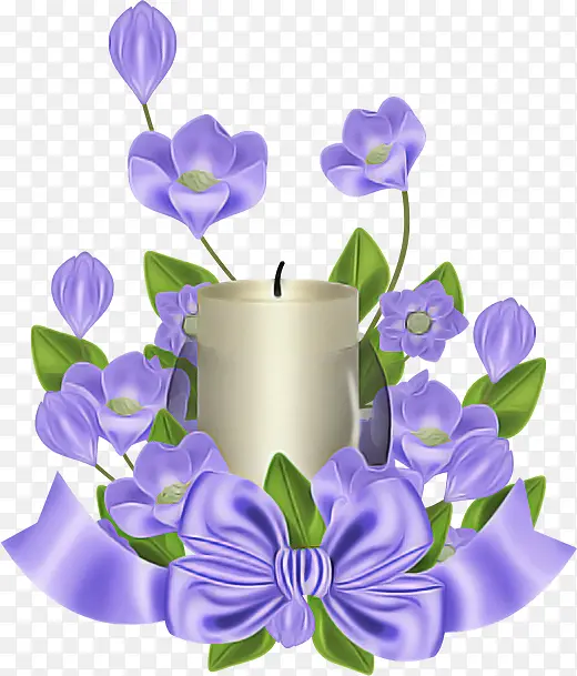 紫罗兰 紫色 花