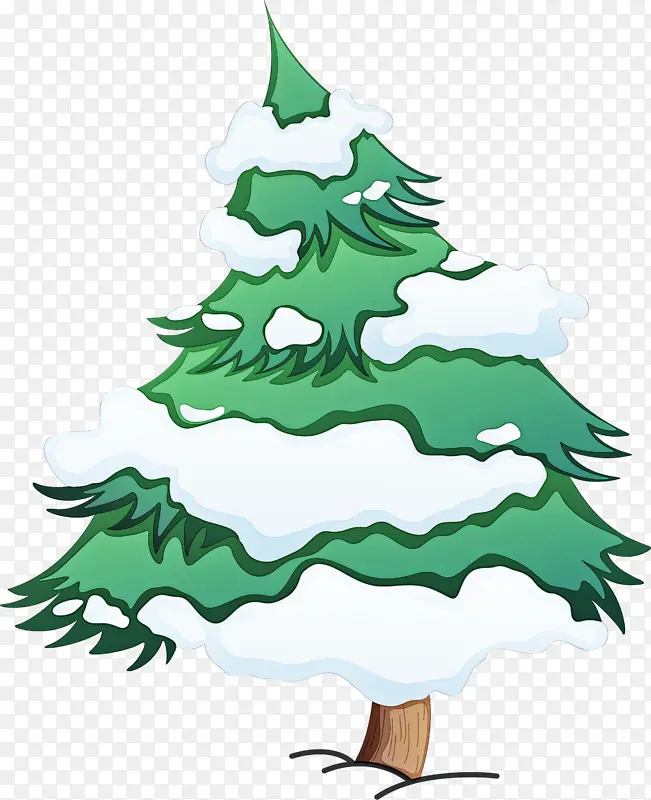 圣诞树 科罗拉多云杉 俄勒冈州松树