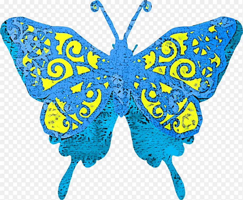 蝴蝶 蓝色 飞蛾和蝴蝶
