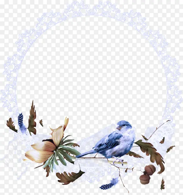 蓝鸟 鸣鸟 植物