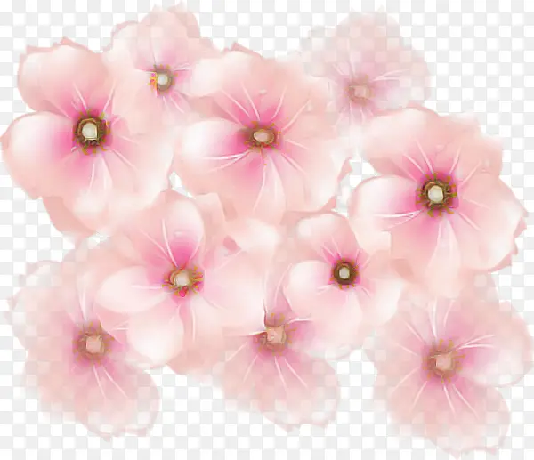 粉色 花瓣 花朵