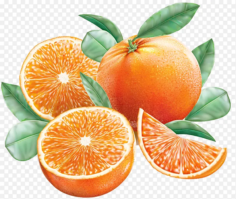 柑橘 天然食品 朗普