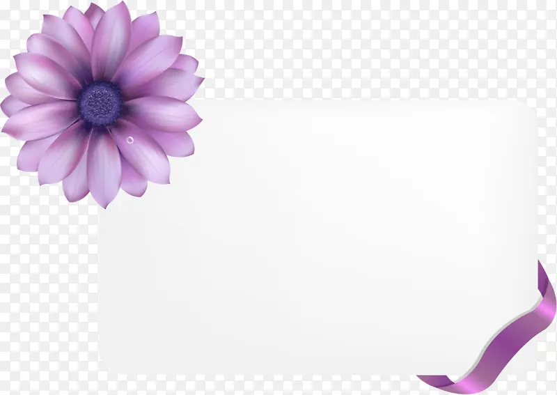 花矩形框 矩形框 紫色