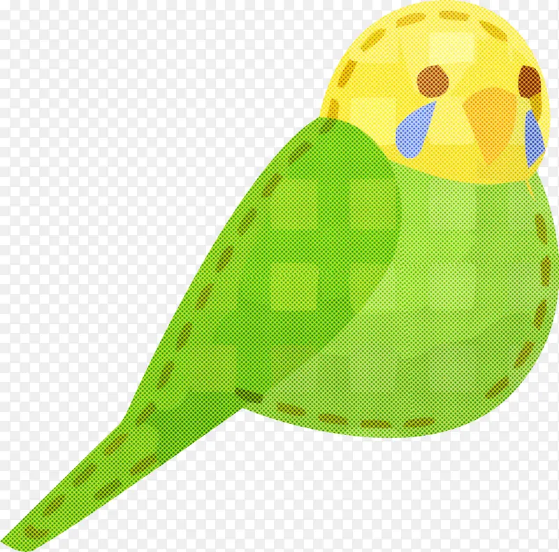 绿色 长尾鹦鹉 黄色