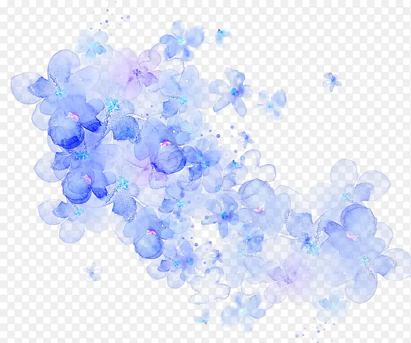 蓝色钴蓝色植物花
