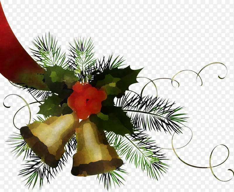 俄勒冈州松树 圣诞装饰 植物