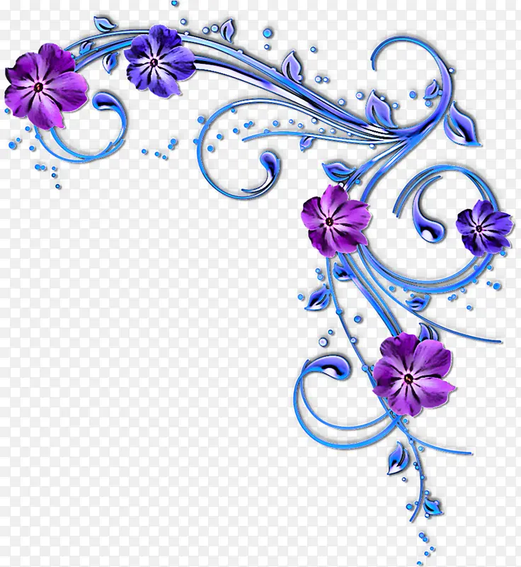 紫色 装饰 植物
