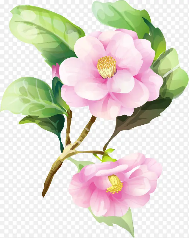 花 花瓣 植物