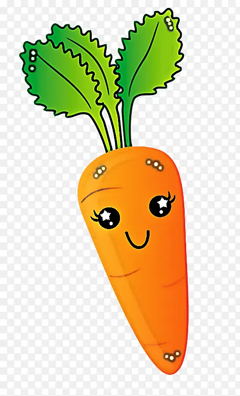 胡萝卜 蔬菜 根类蔬菜
