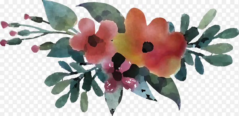 花 植物 花瓣