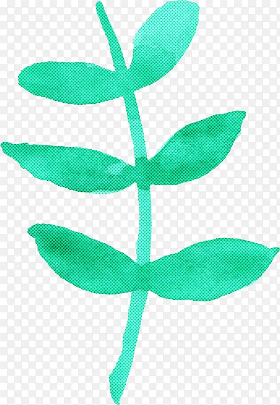叶子 绿色 植物