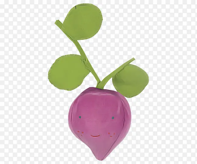 紫罗兰 紫色 萝卜