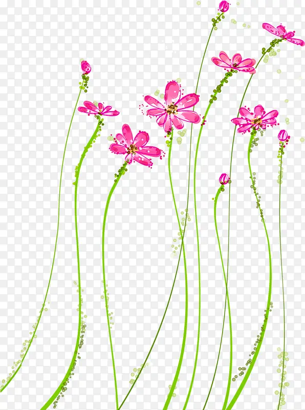 花 植物 粉色