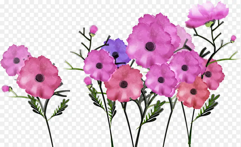 花朵 粉色 切花
