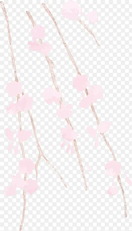 粉色 白色 树枝