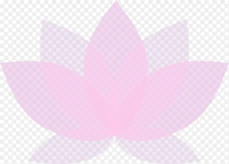 莲花 花朵 粉色