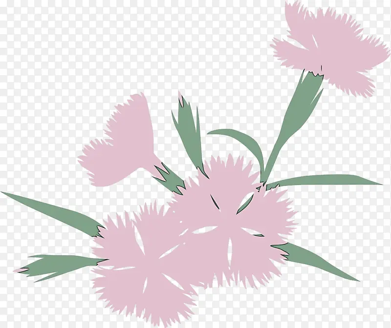 粉色 花 植物