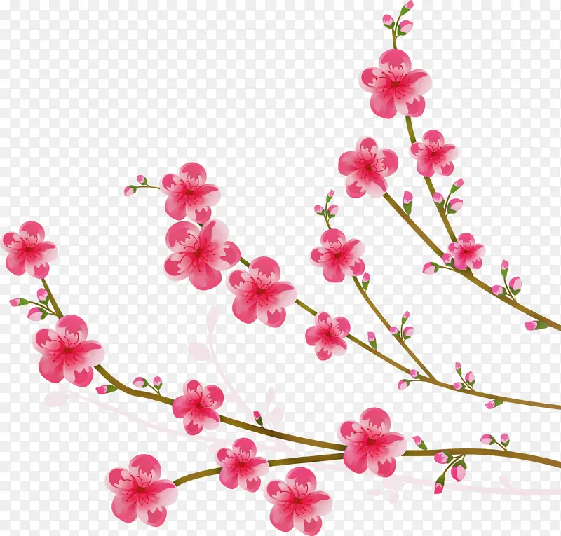 花朵 粉色 树枝