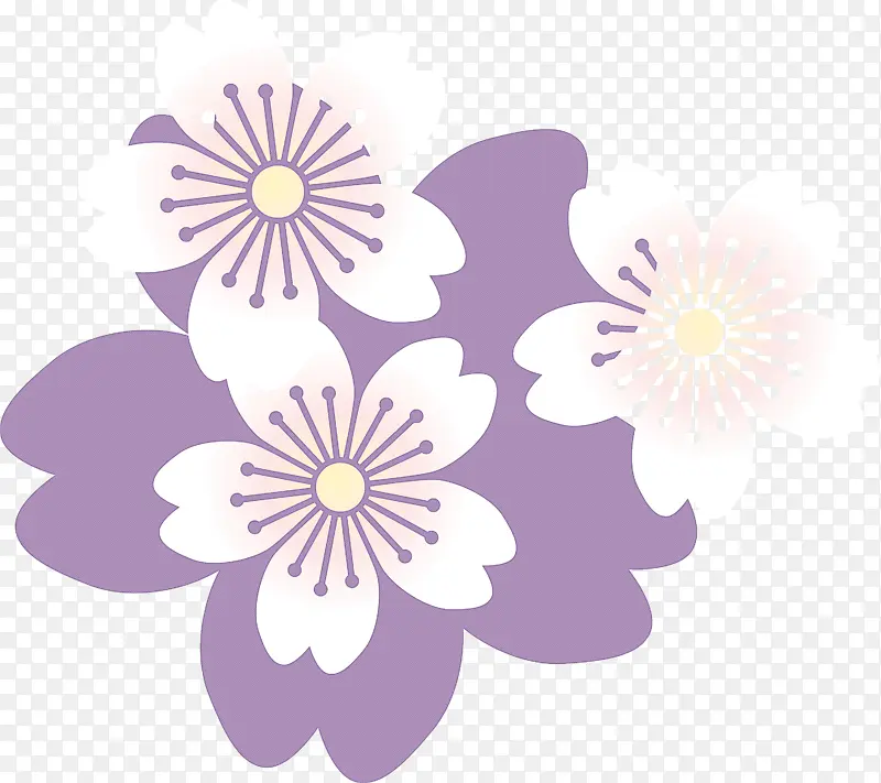 樱桃花 紫色 花朵