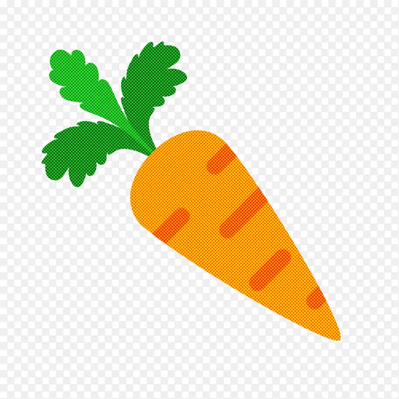 食品卡通 胡萝卜 叶